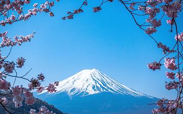 日本签证照片刘海要求