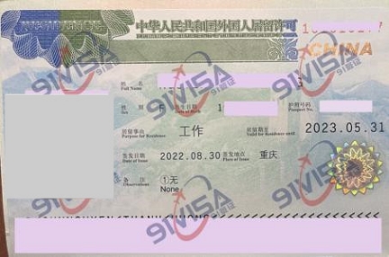  办中国工作签证，越南阮女士成功出签 